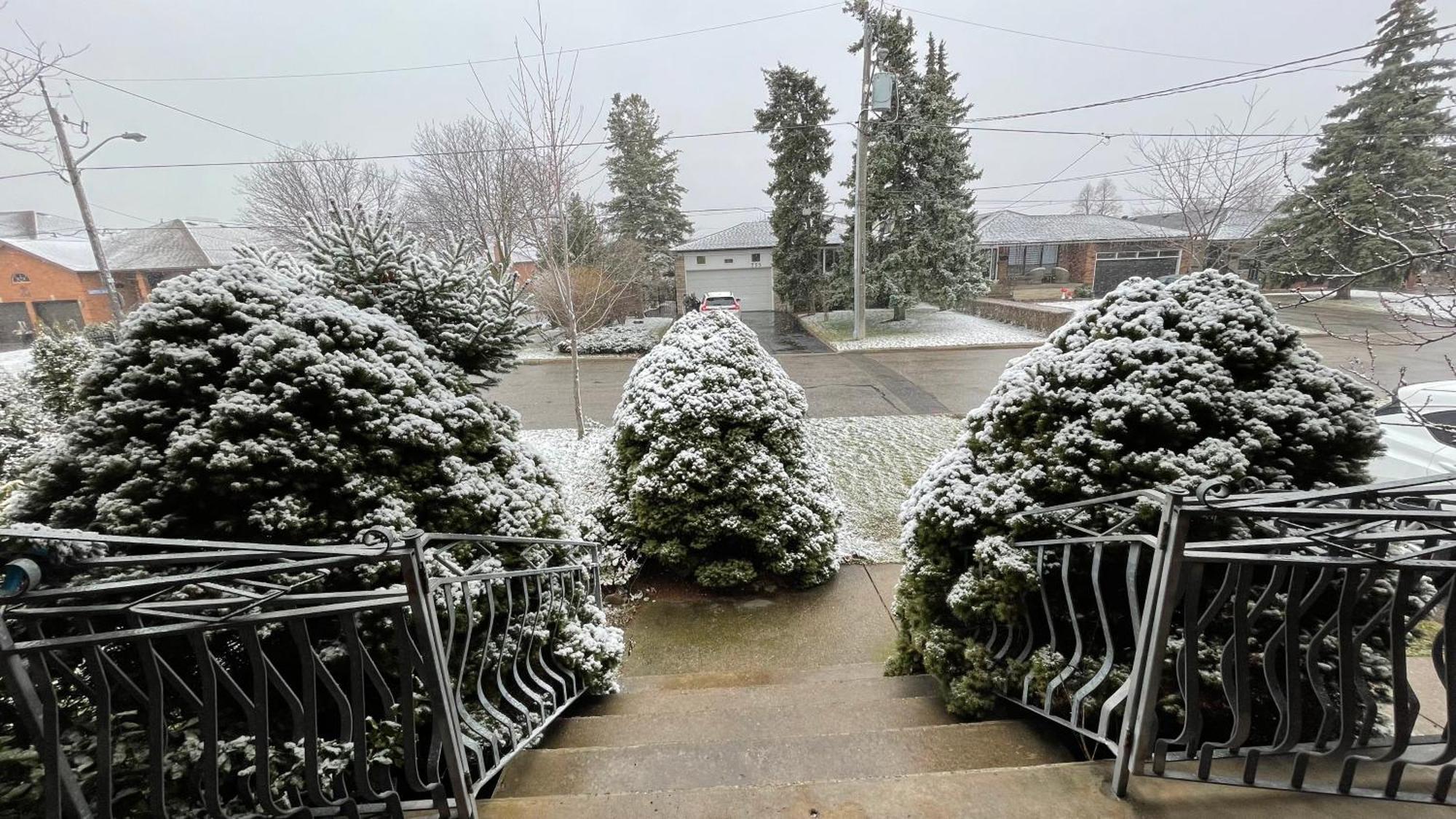Glengrove Cozy Home Toronto Eksteriør billede